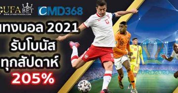 แทงบอลออนไลน์